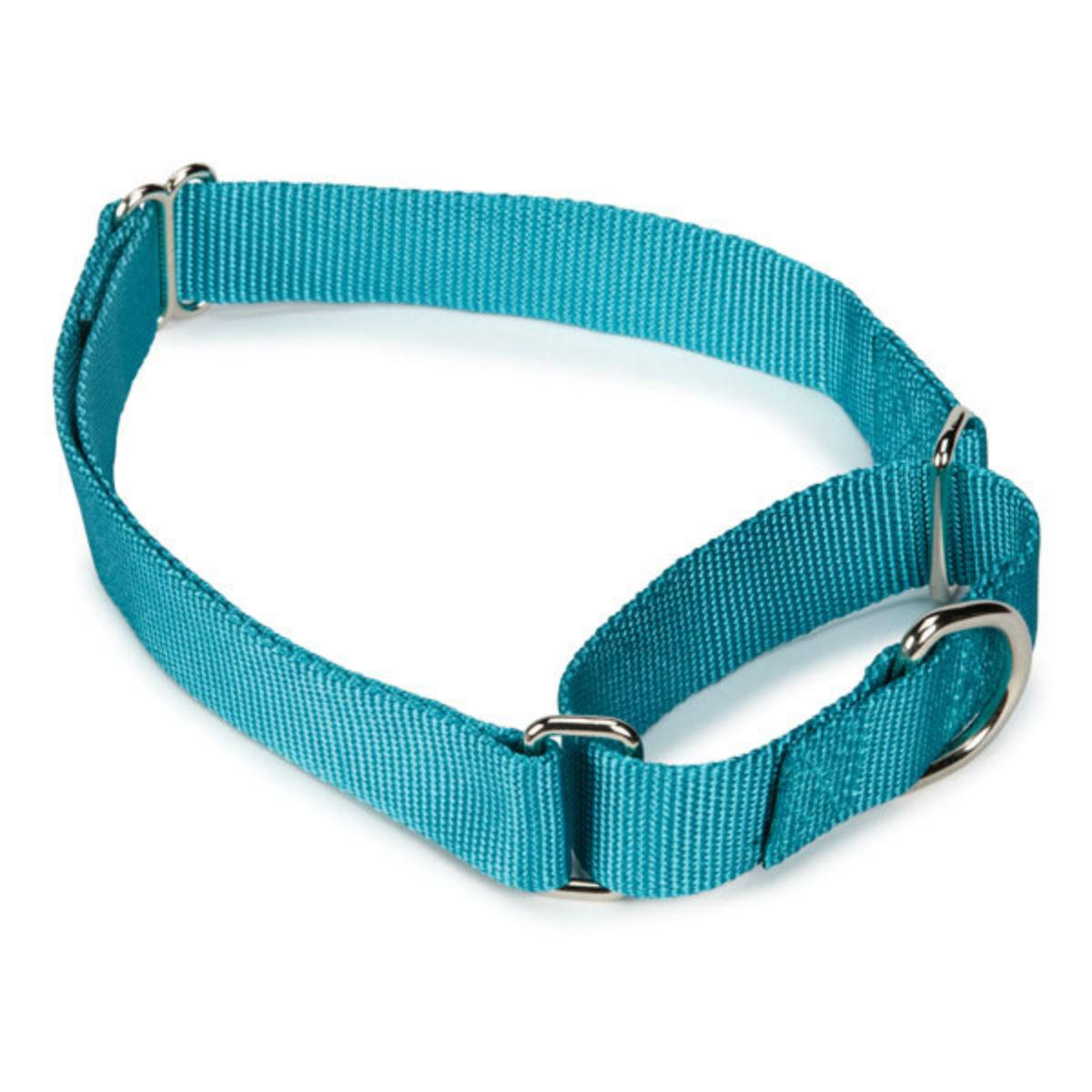Guardian Gear Nylon Martingale Dog Collar - Bluebird