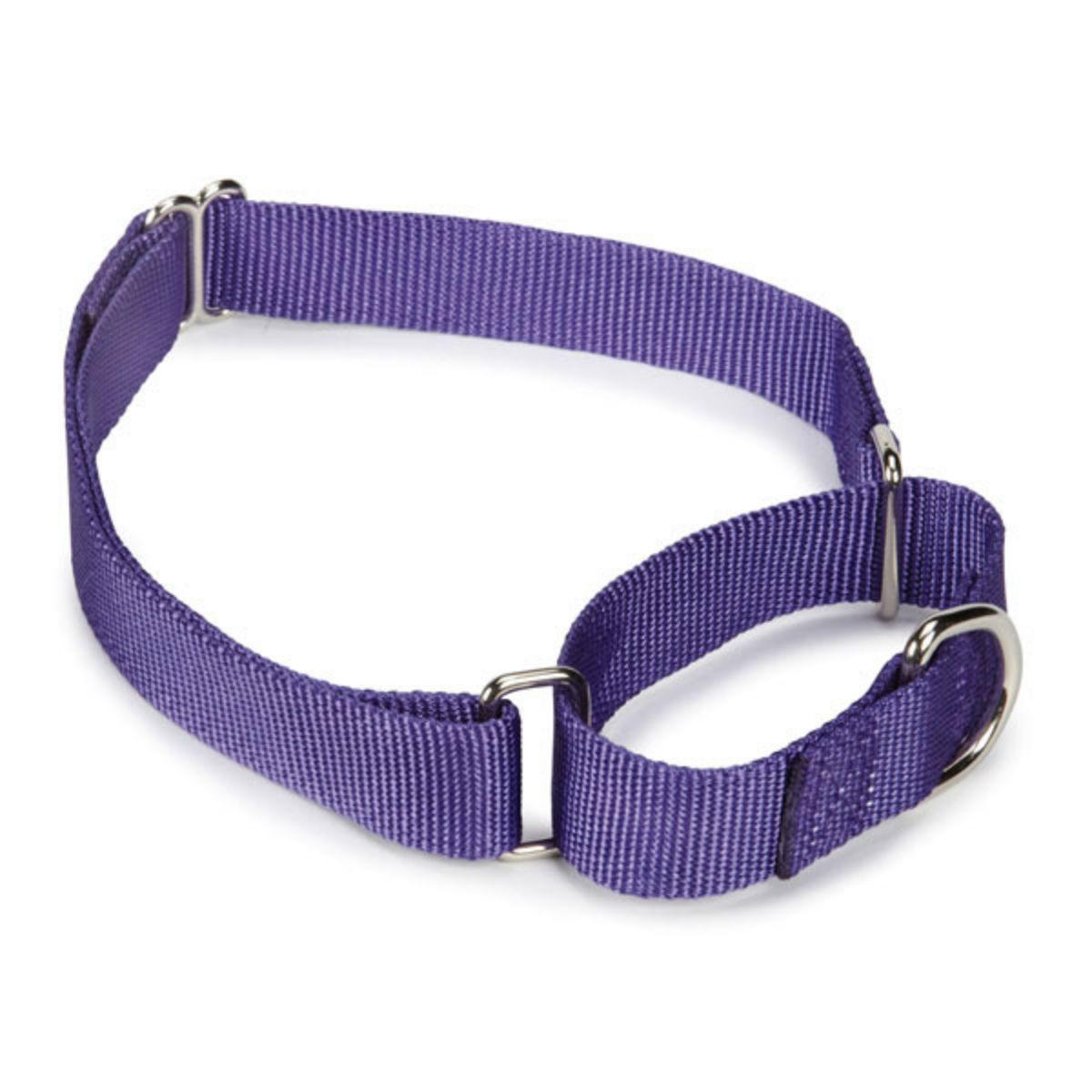 Guardian Gear Nylon Martingale Dog Collar - Ultra Violet