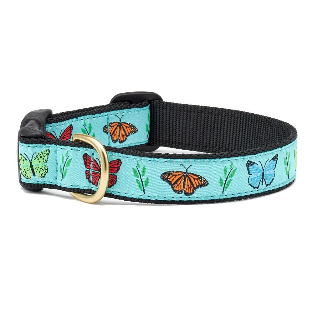 Butterfly Effect Dog Collar by Up Country