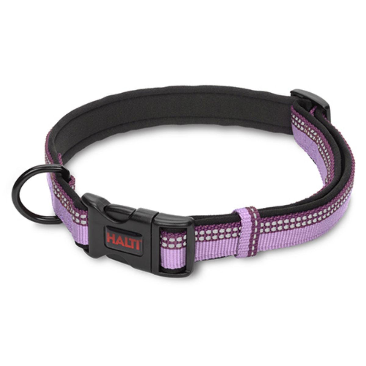 Halti Two-Toned Dog Collar - Purple