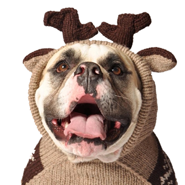 Chilly Dog Handmade Moosey Wool Dog Hoodie
