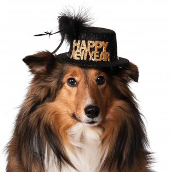 Rubies Happy New Year Dog Hat - Black