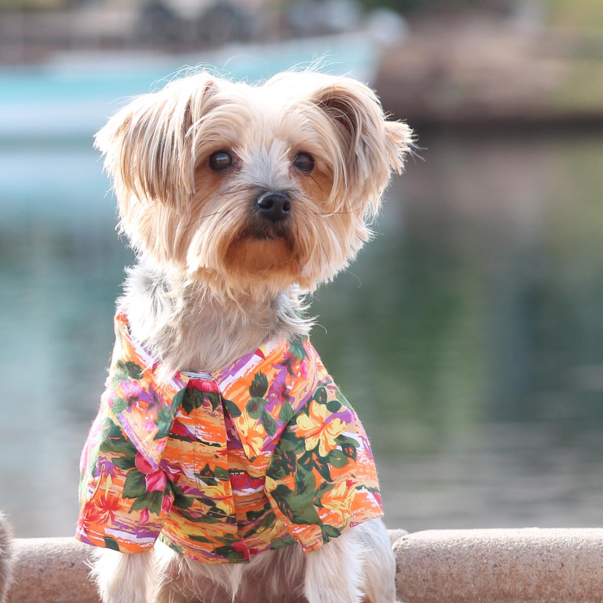 Hawaiian Camp Shirt by Doggie Design - Sunset Hibiscus