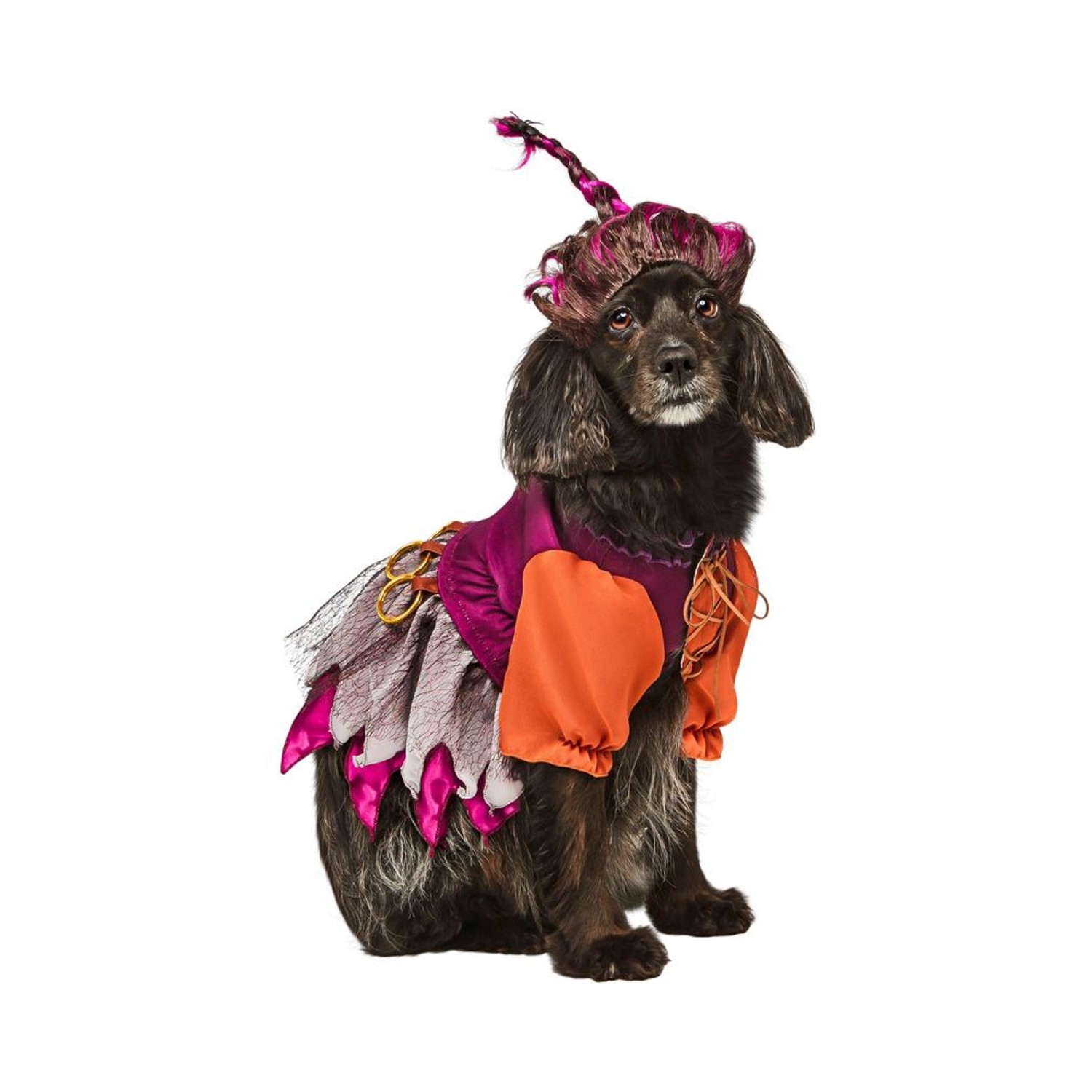 Hocus Pocus Mary Sanderson Dog Costume by Rubie's