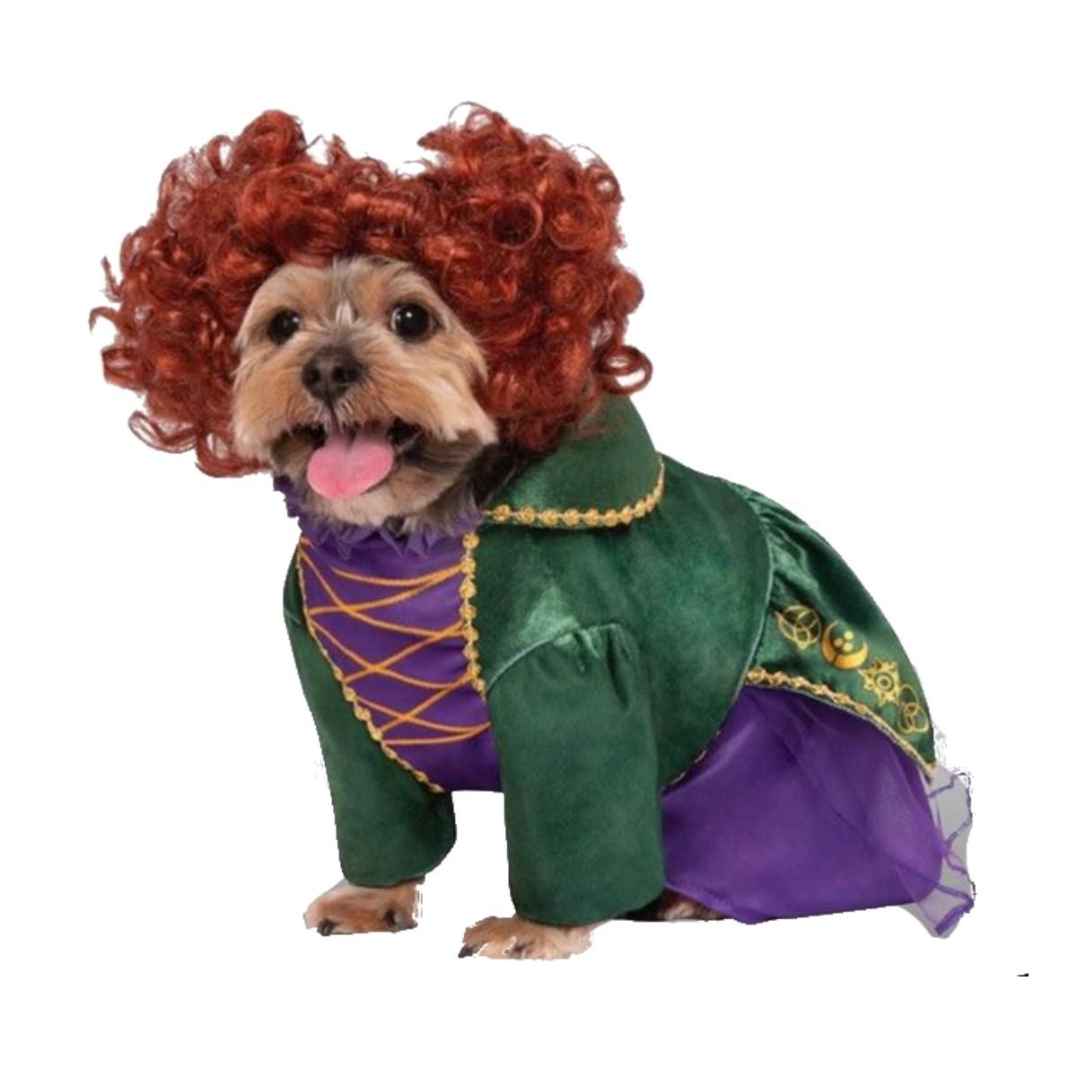 Hocus Pocus Winifred Sanderson Dog Costume by Rubie's