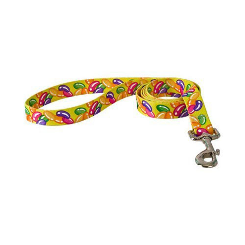 Jelly Beans Dog Leash by Yellow Dog