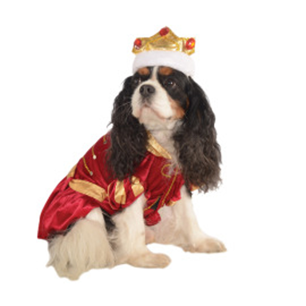 Kanine King Halloween Dog Costume