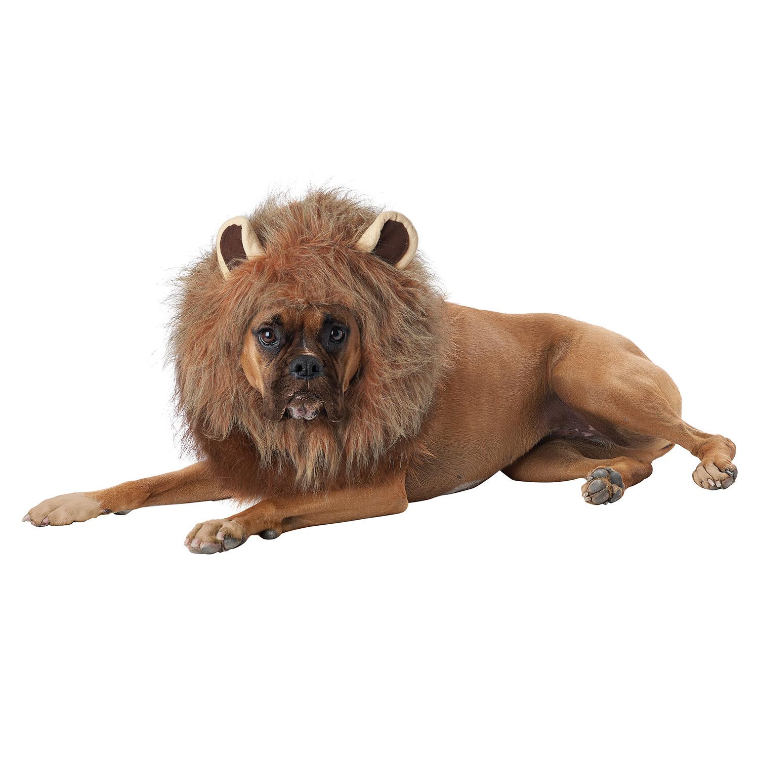 King of the Jungle Lion Halloween Dog Costume