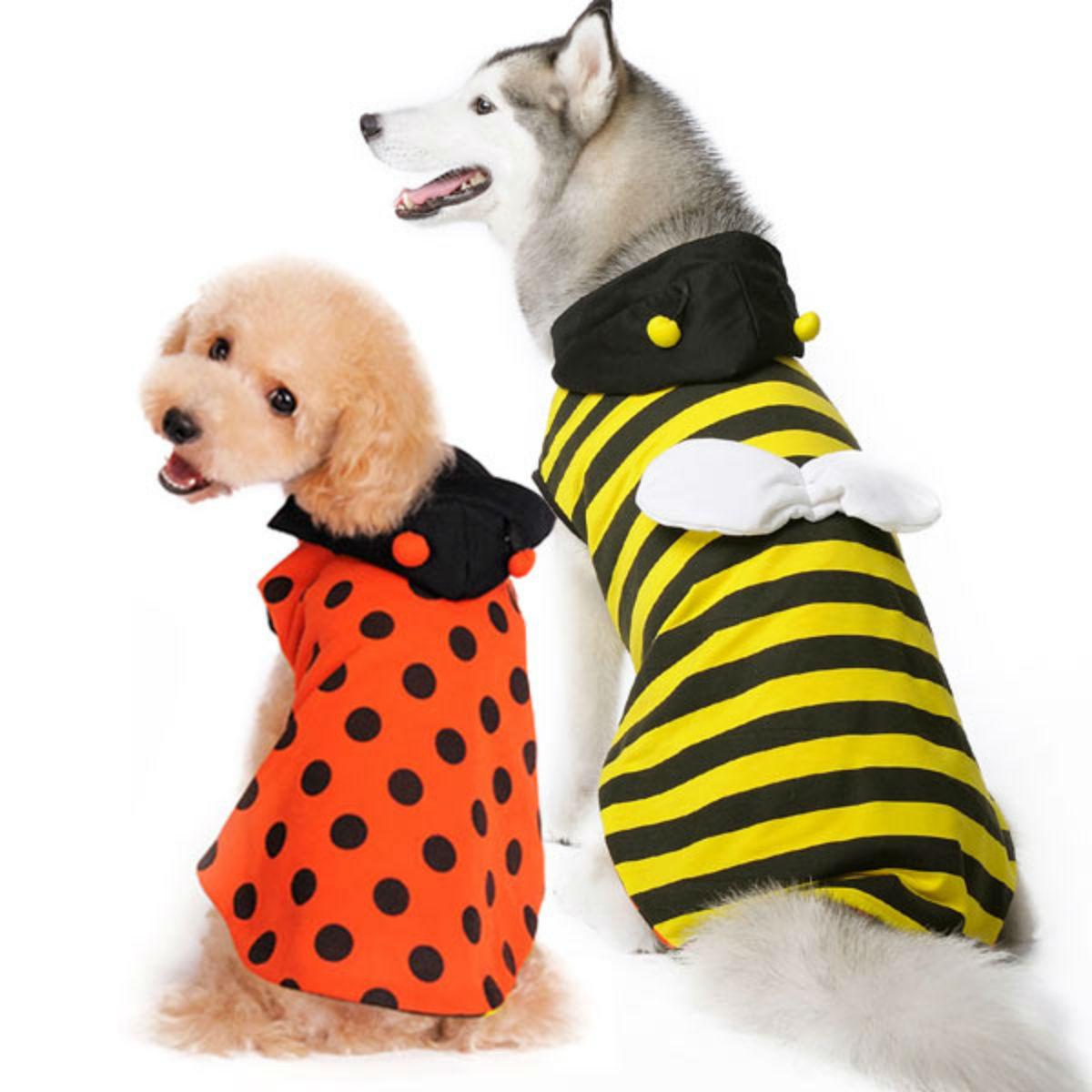 Ladybug Bumblebee Reversible Dog Hoodie by DOGO