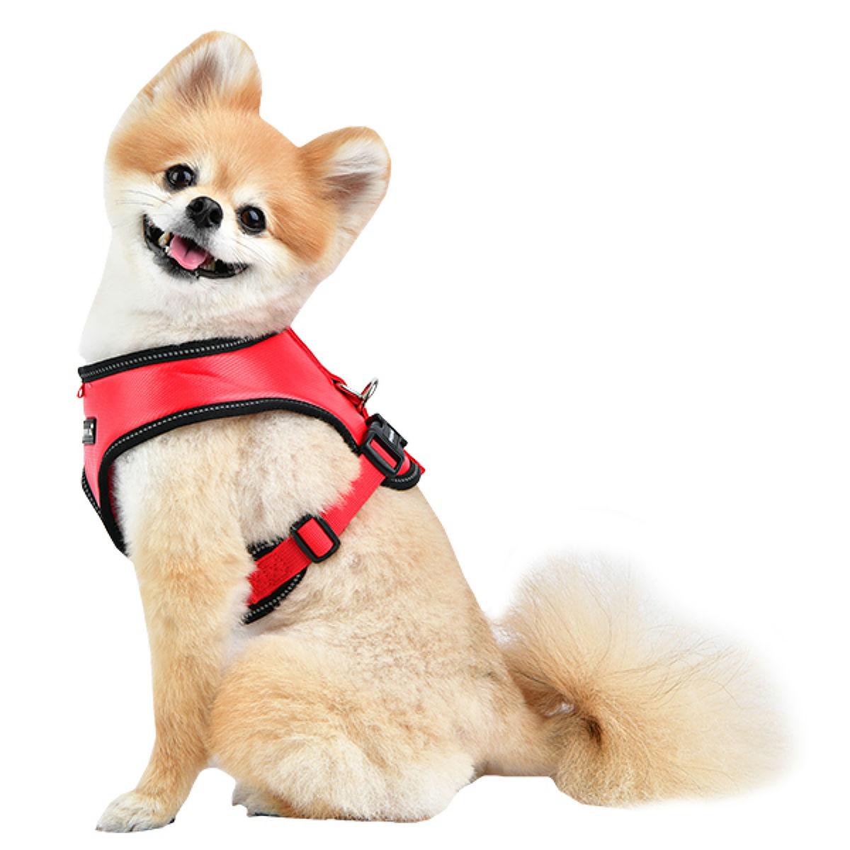 Legacy Snugfit Dog Harness By Puppia - Red