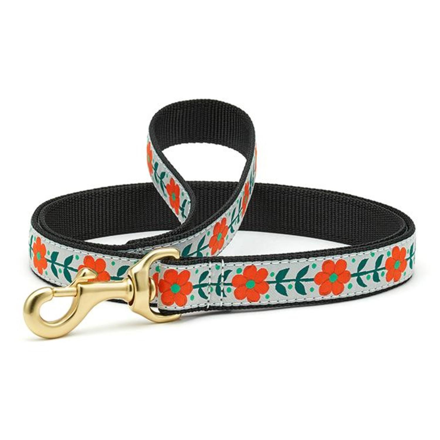 Orange You Pretty Dog Leash by Up Country