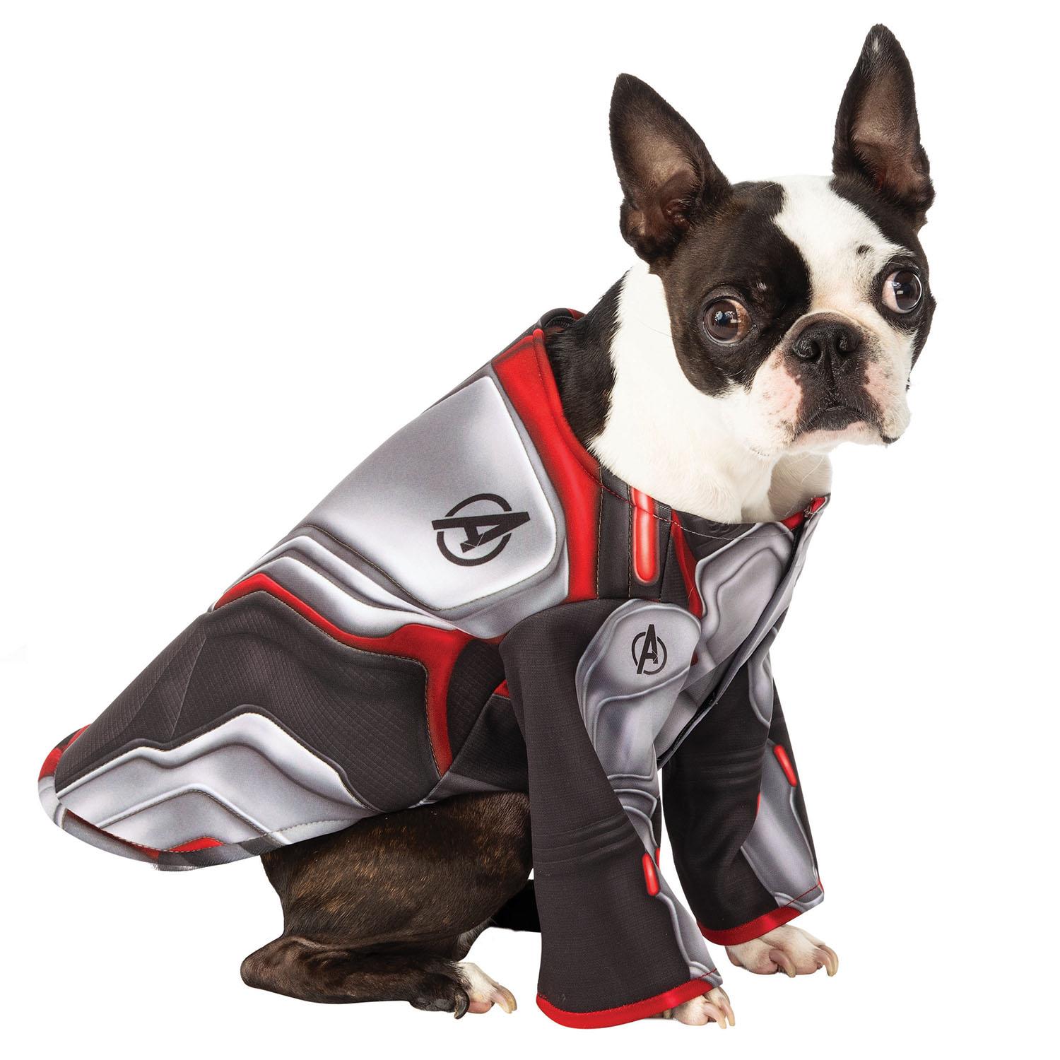 Pet Avengers: Endgame Team Suit Dog Costume