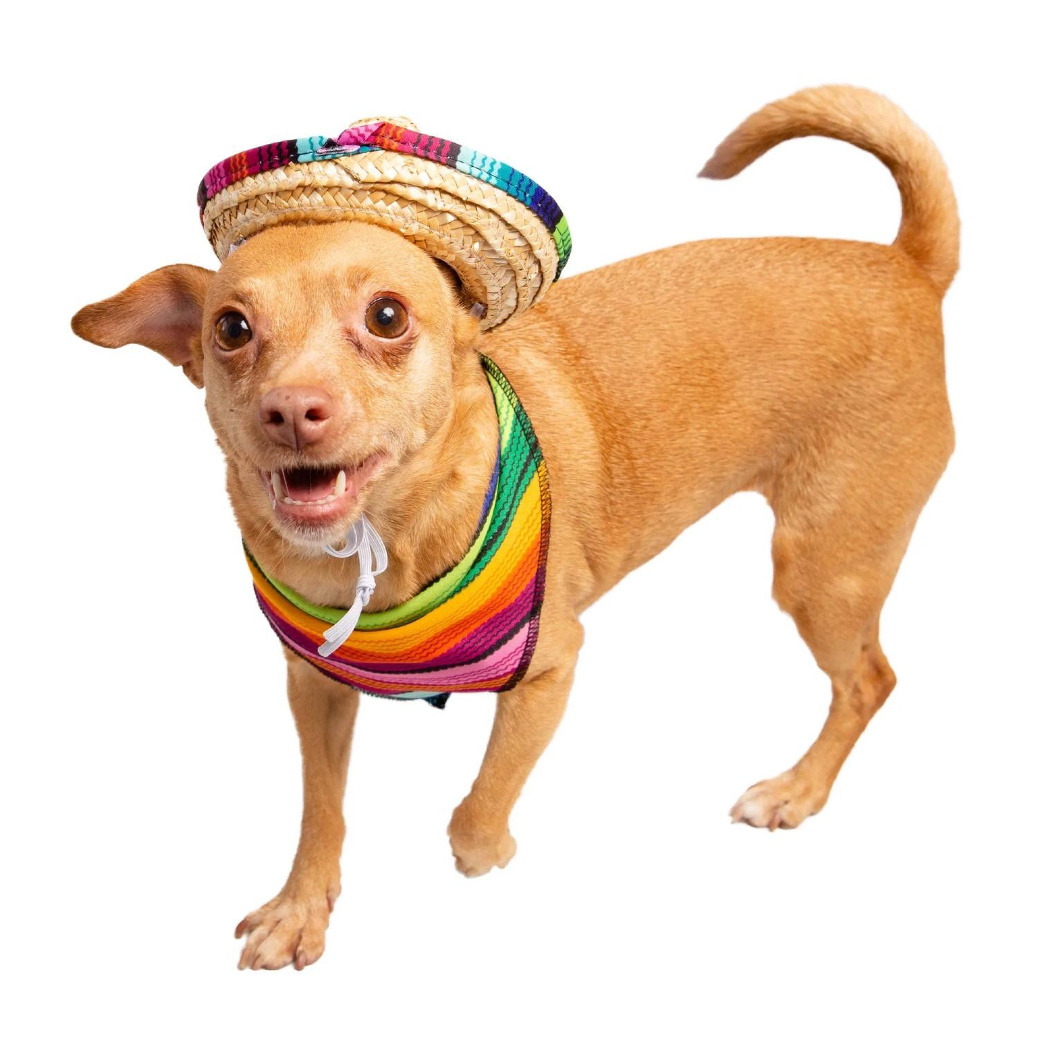 Pet Krewe Mexican Serape Dog Costume