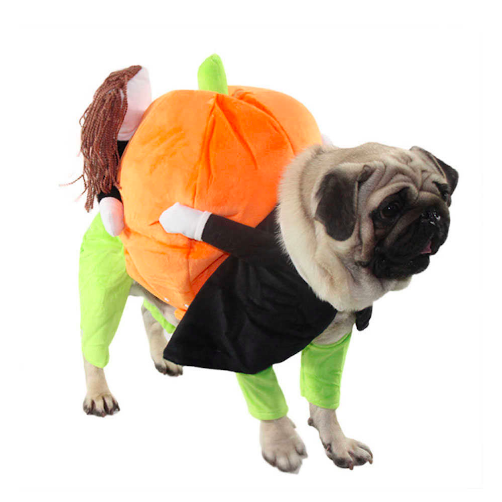 Pet Life Pumpkin Mon Halloween Pet Dog Costume