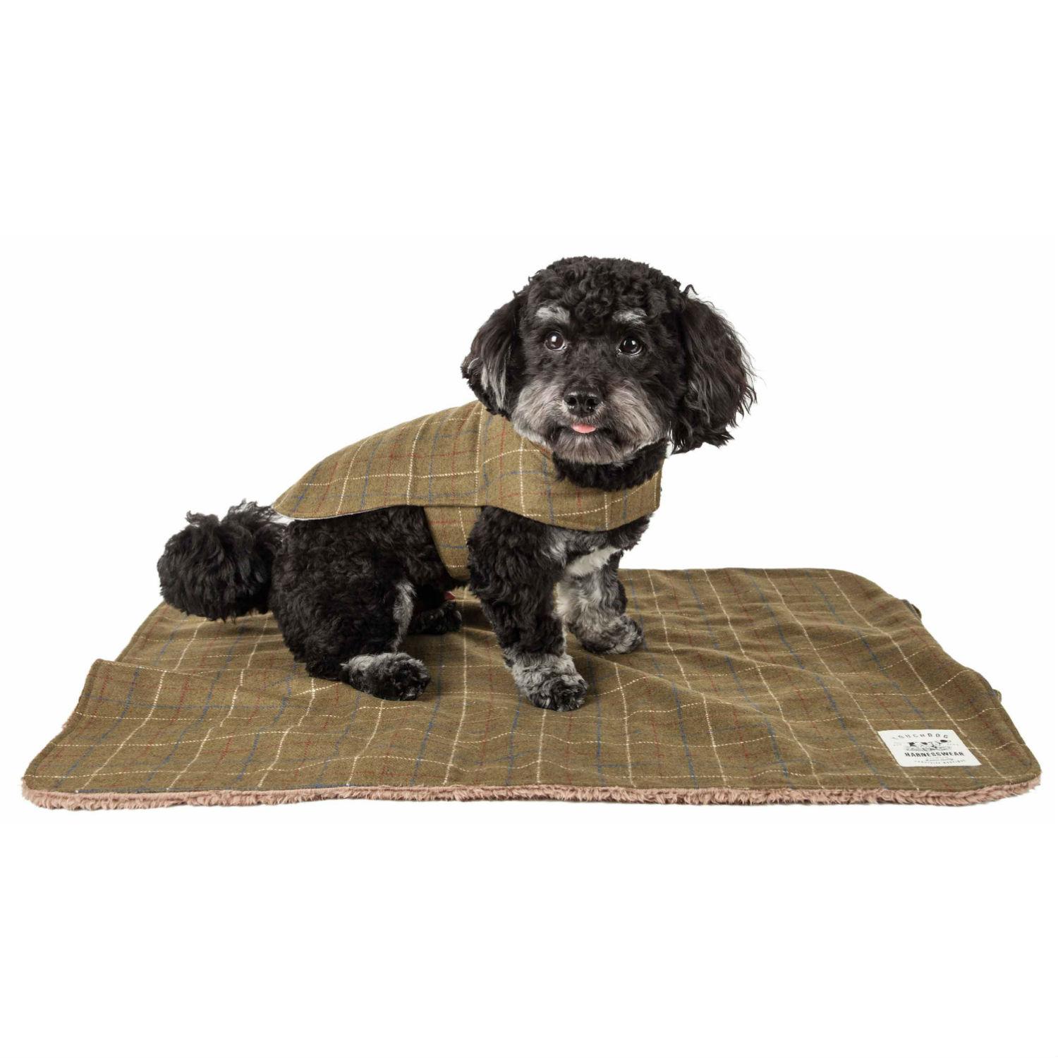 Pet Life Touchdog 2-in-1 Windowpane Plaid Dog Jacket with Matching Reversible Dog Mat - Olive Green