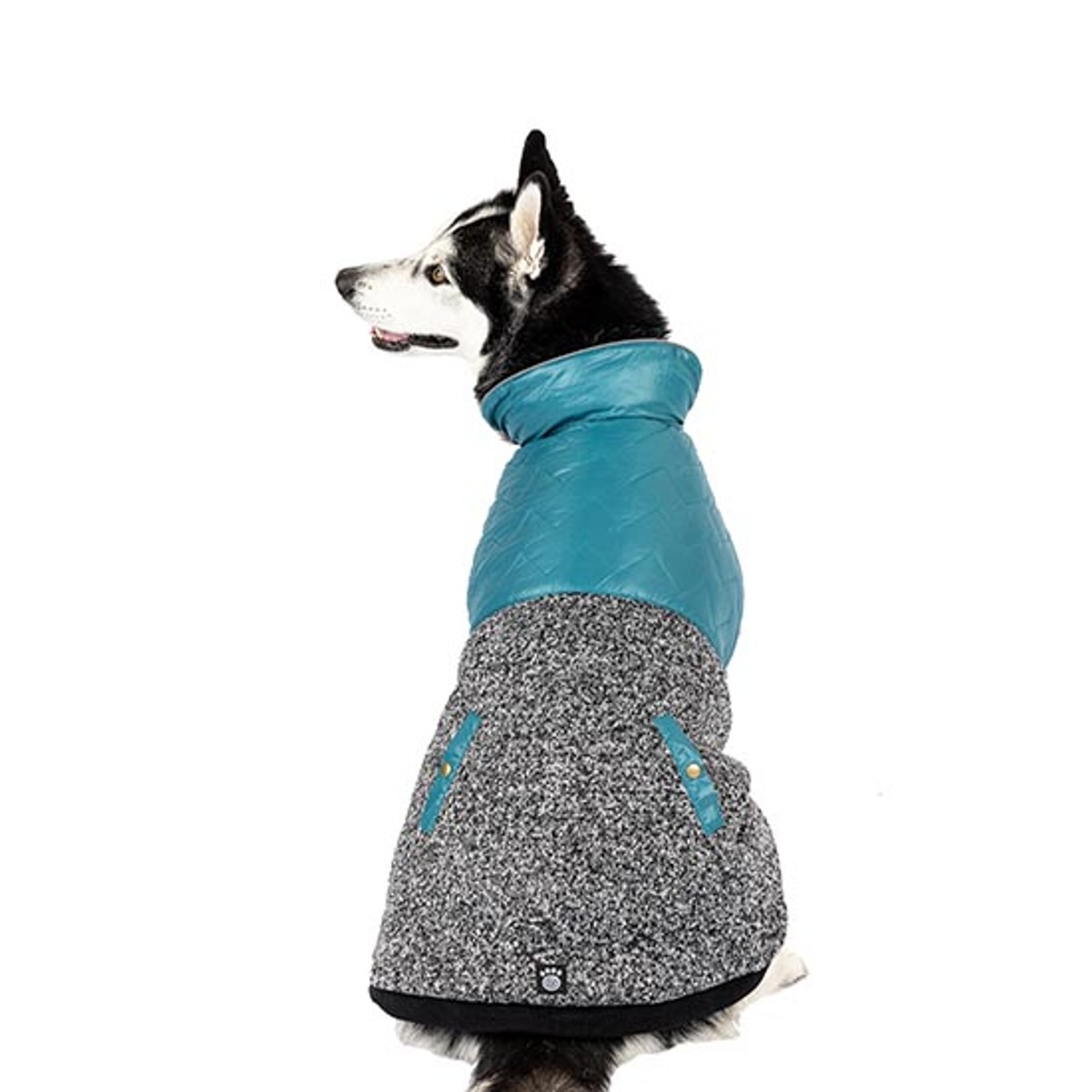 Petrageous Colorblock Radiator Puffer Dog Coat - Teal