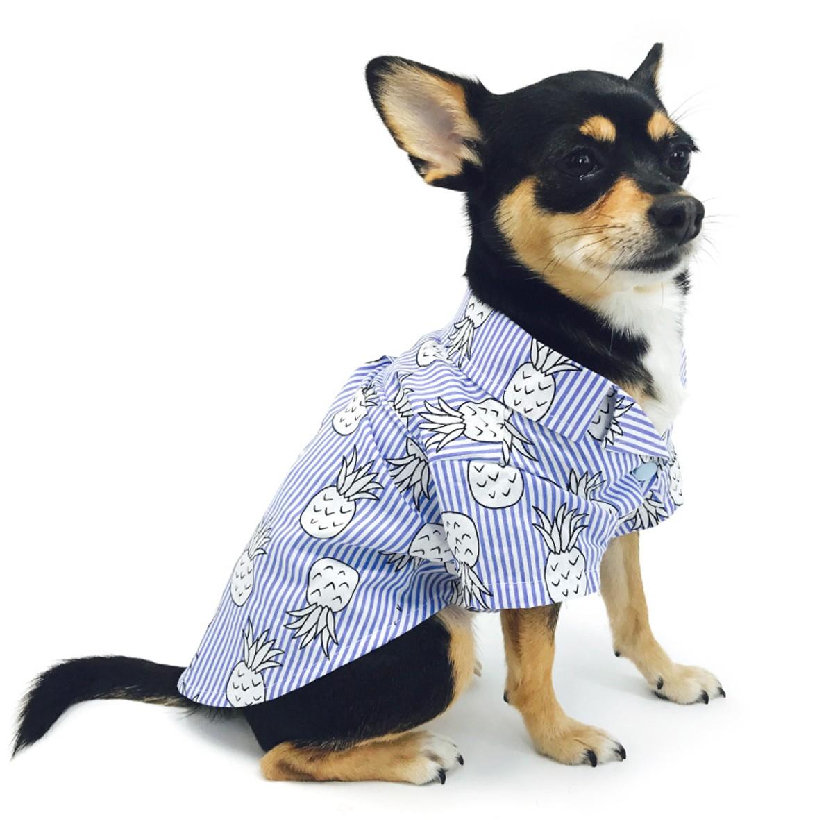 Pineapple Island Dog Shirt by Dogo - Light Blue