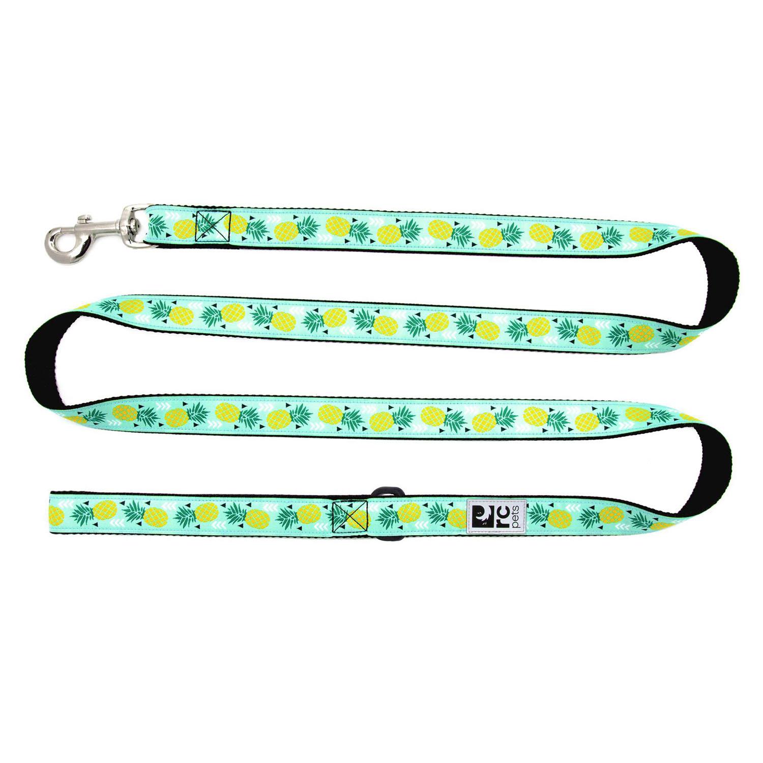 Pineapple Parade Dog Leash by RC Pets