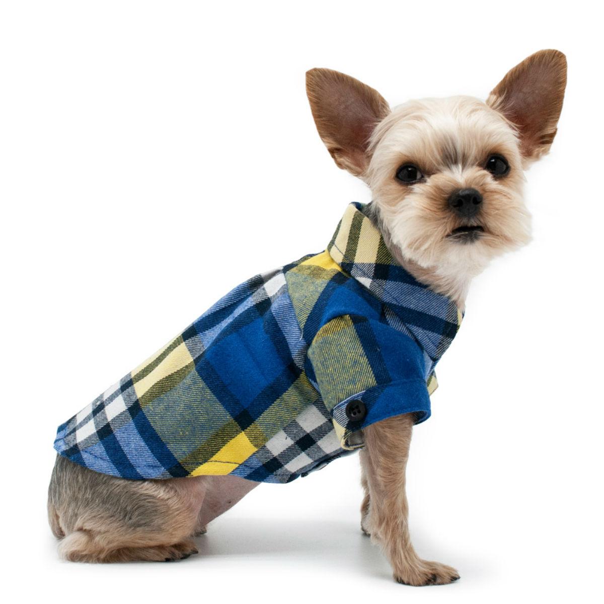 Plaid Button Down Dog Shirt by Dogo - Blue and Yellow