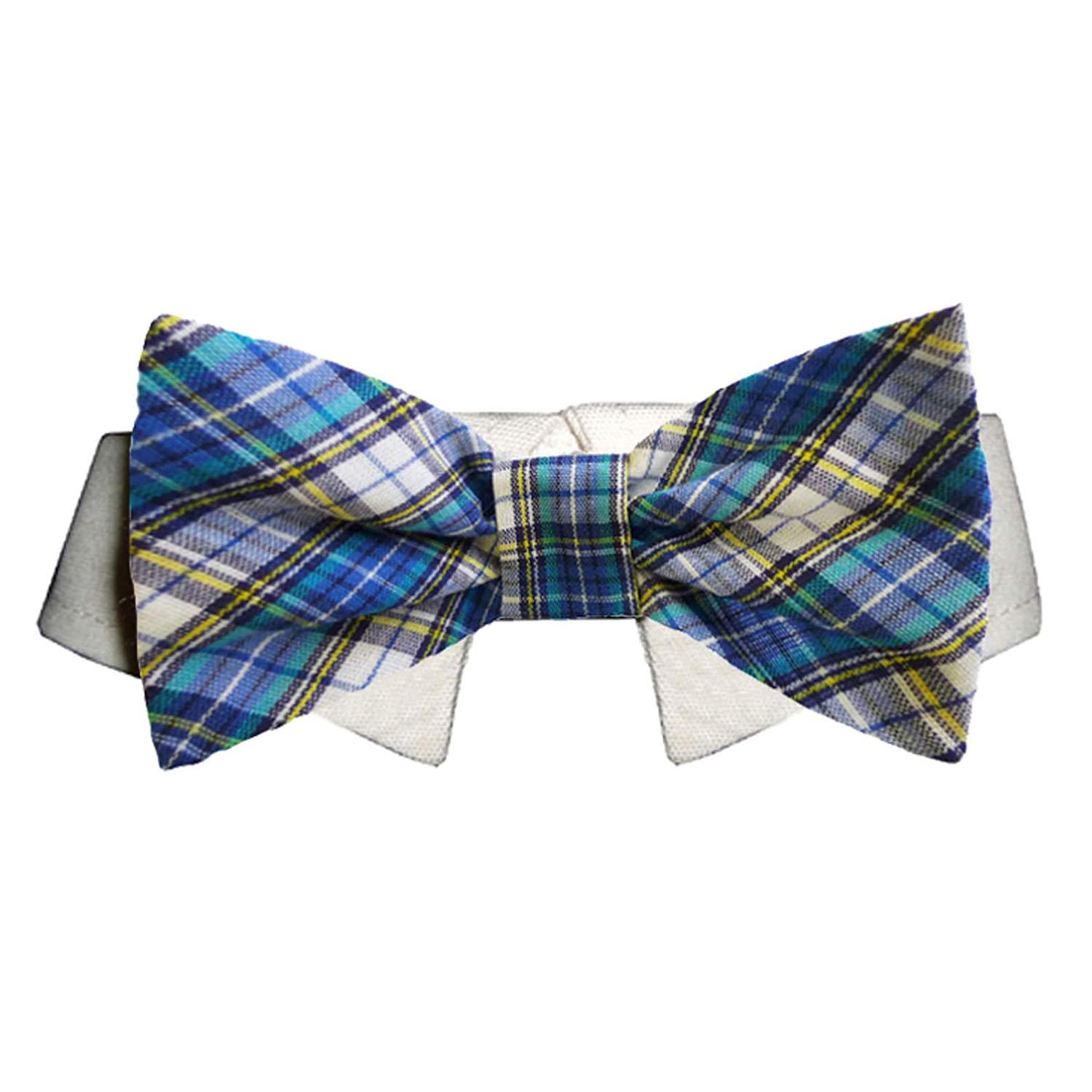 Pooch Outfitters Isaac Dog Shirt Collar and Bow Tie - Blue and Yellow Plaid