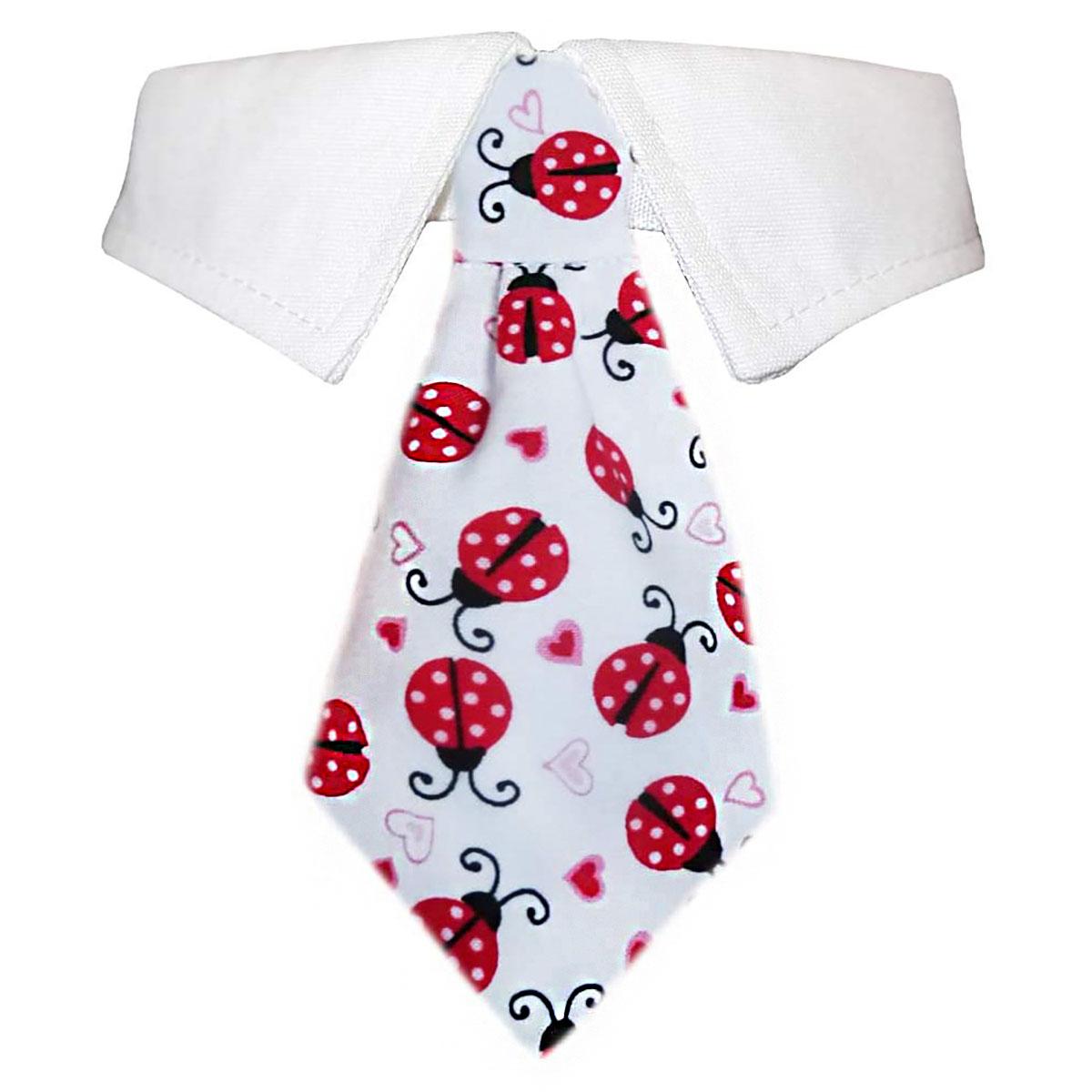Pooch Outfitters Lady Bug Dog Shirt Collar and Tie