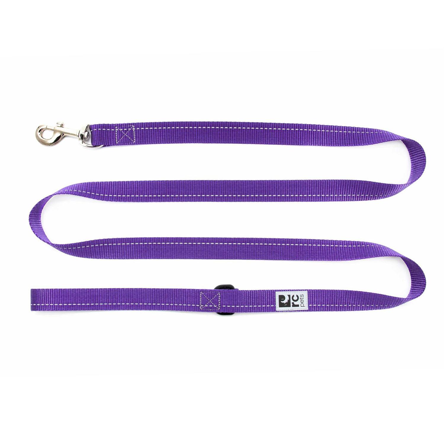 Primary Dog Leash - Purple