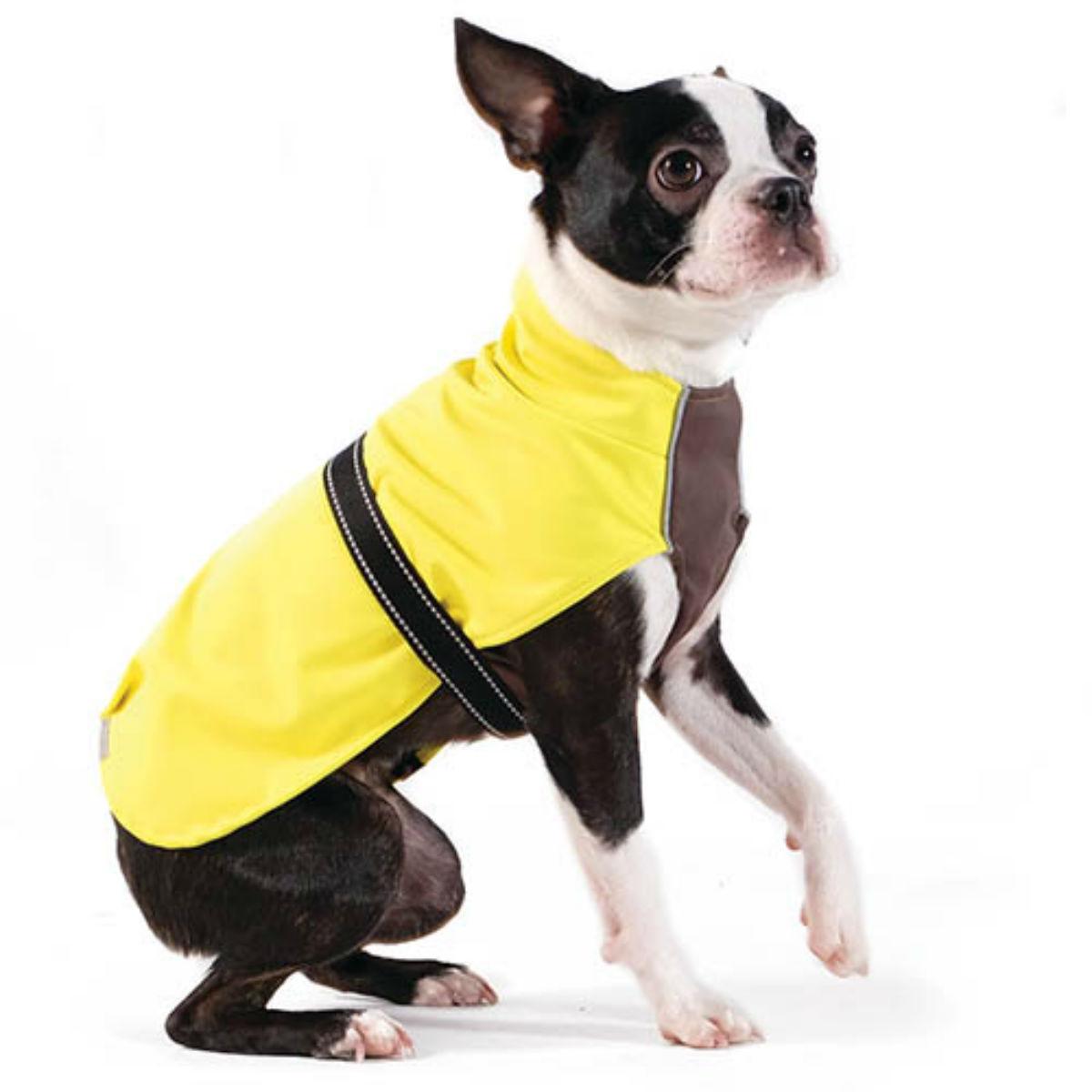 Gold Paw Rain Paw Dog Raincoat - Yellow/Graphite