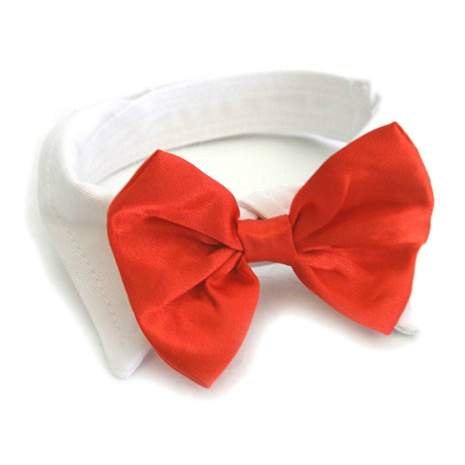 Red Satin Bowtie Collar by Doggie Design