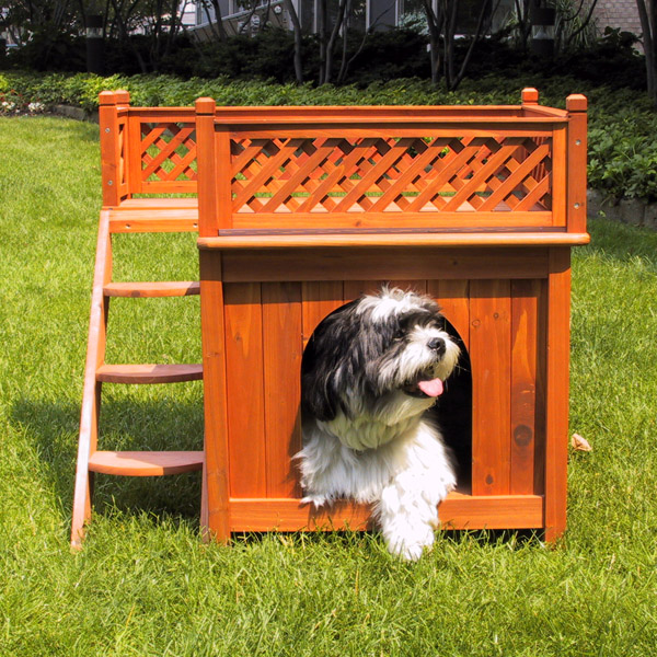 Merry Products Room with a View Outdoor Dog House