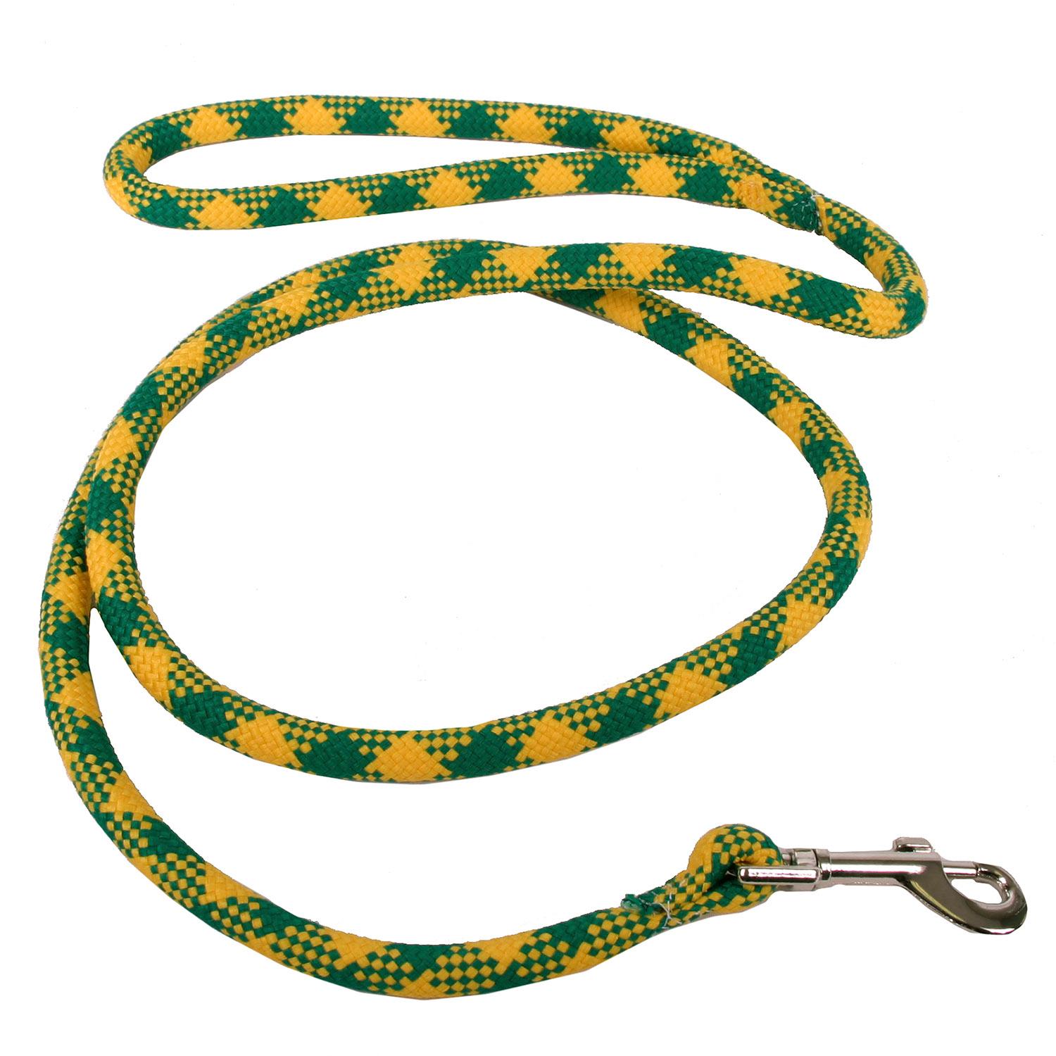Round Braided Team Colors Dog Leash by Yellow Dog - Gold and Green