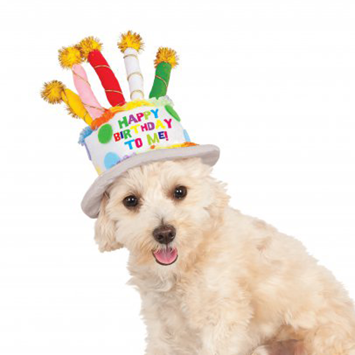 Rubie's Birthday Cake Dog Hat