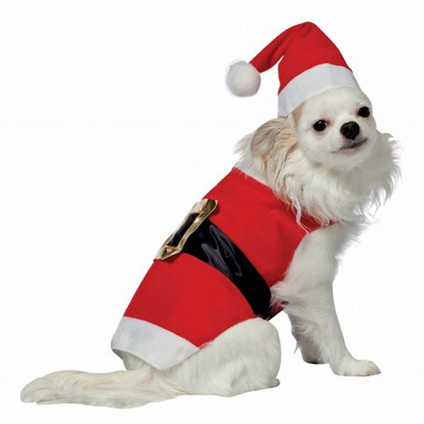 Rasta Imposta Santa Dog Costume