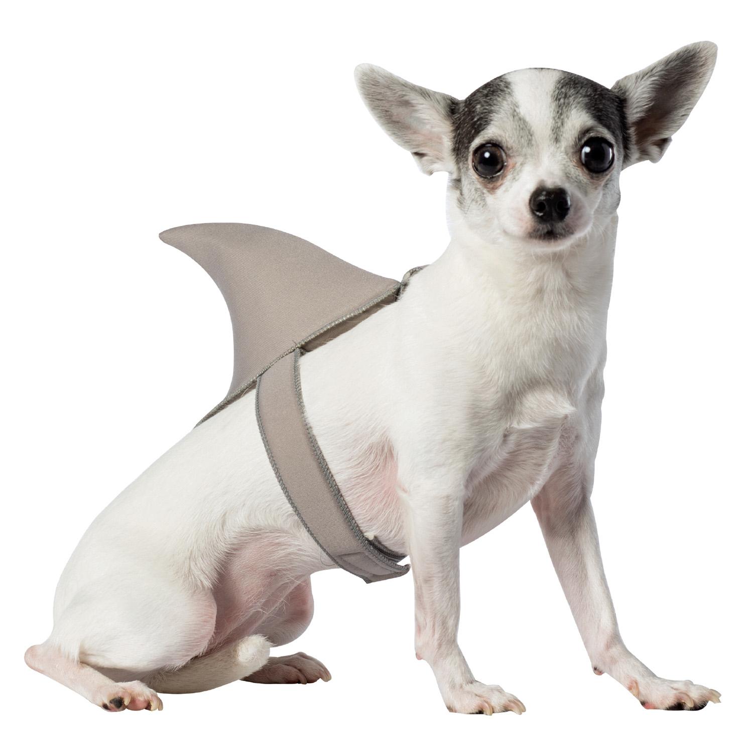 Rasta Imposta Shark Fin Dog Costume