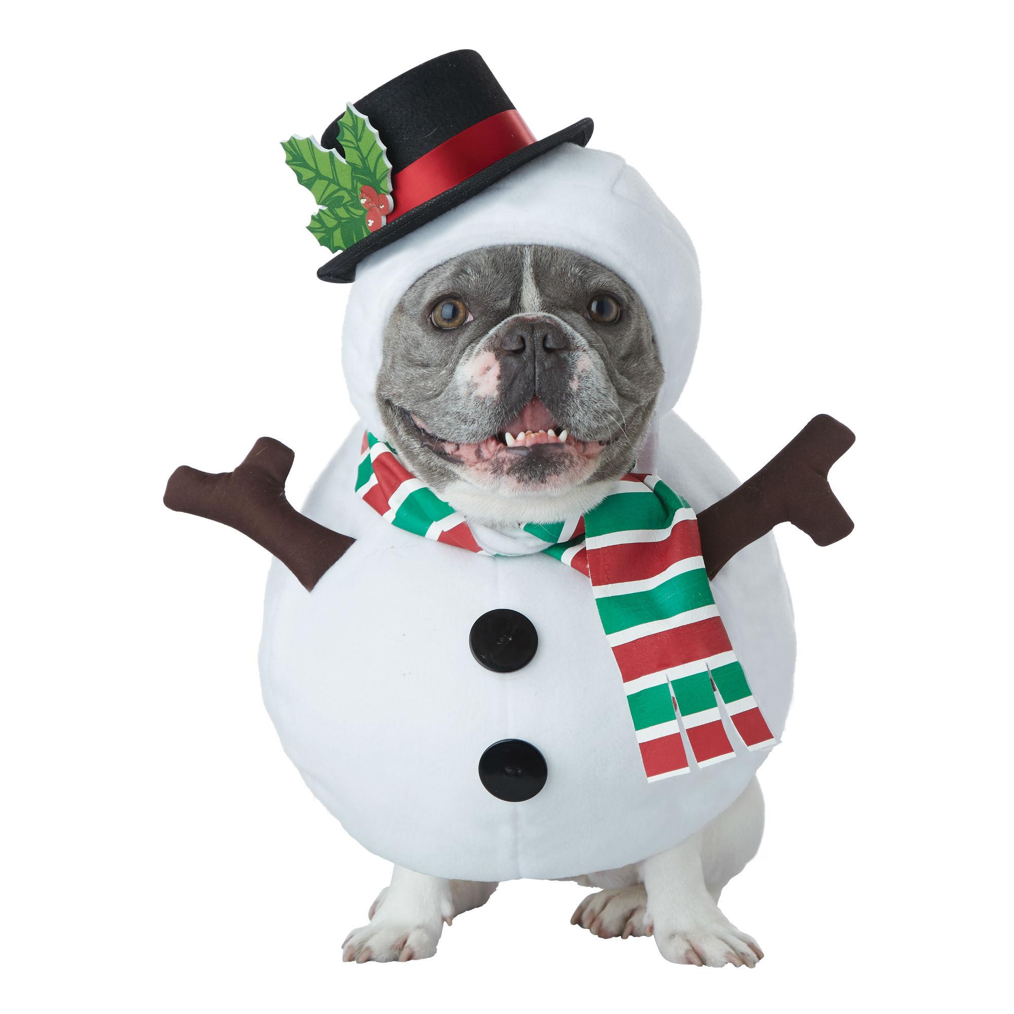 Snowman Dog Holiday Dog Costume