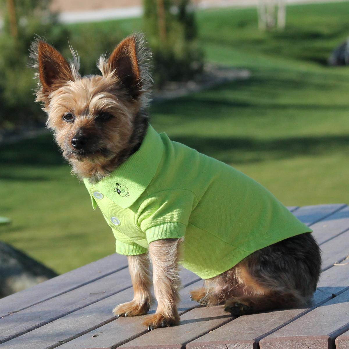 Solid Dog Polo by Doggie Design - Green Flash