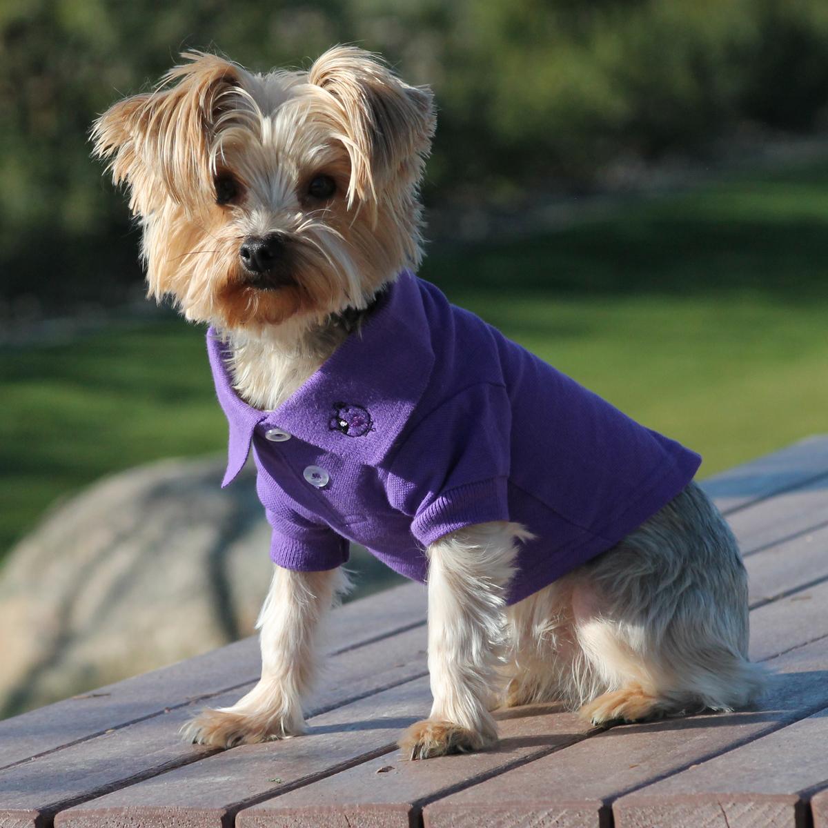 Solid Dog Polo by Doggie Design - Ultra Violet