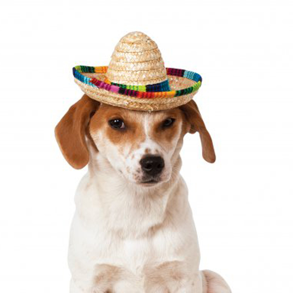 Sombrero Dog Hat by Rubies - Multi-Colored