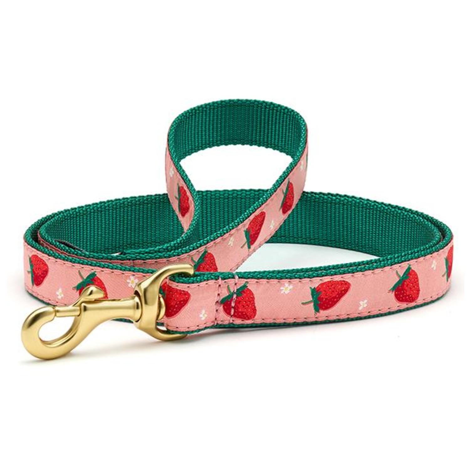 Strawberry Fields Dog Leash by Up Country