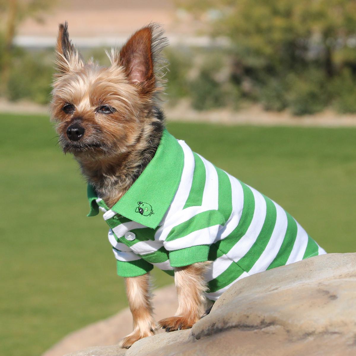 Striped Dog Polo by Doggie Design - Greenery and White