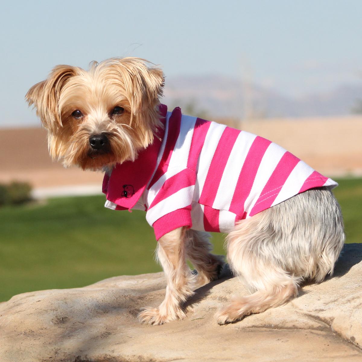 Striped Dog Polo by Doggie Design - Pink Yarrow and White