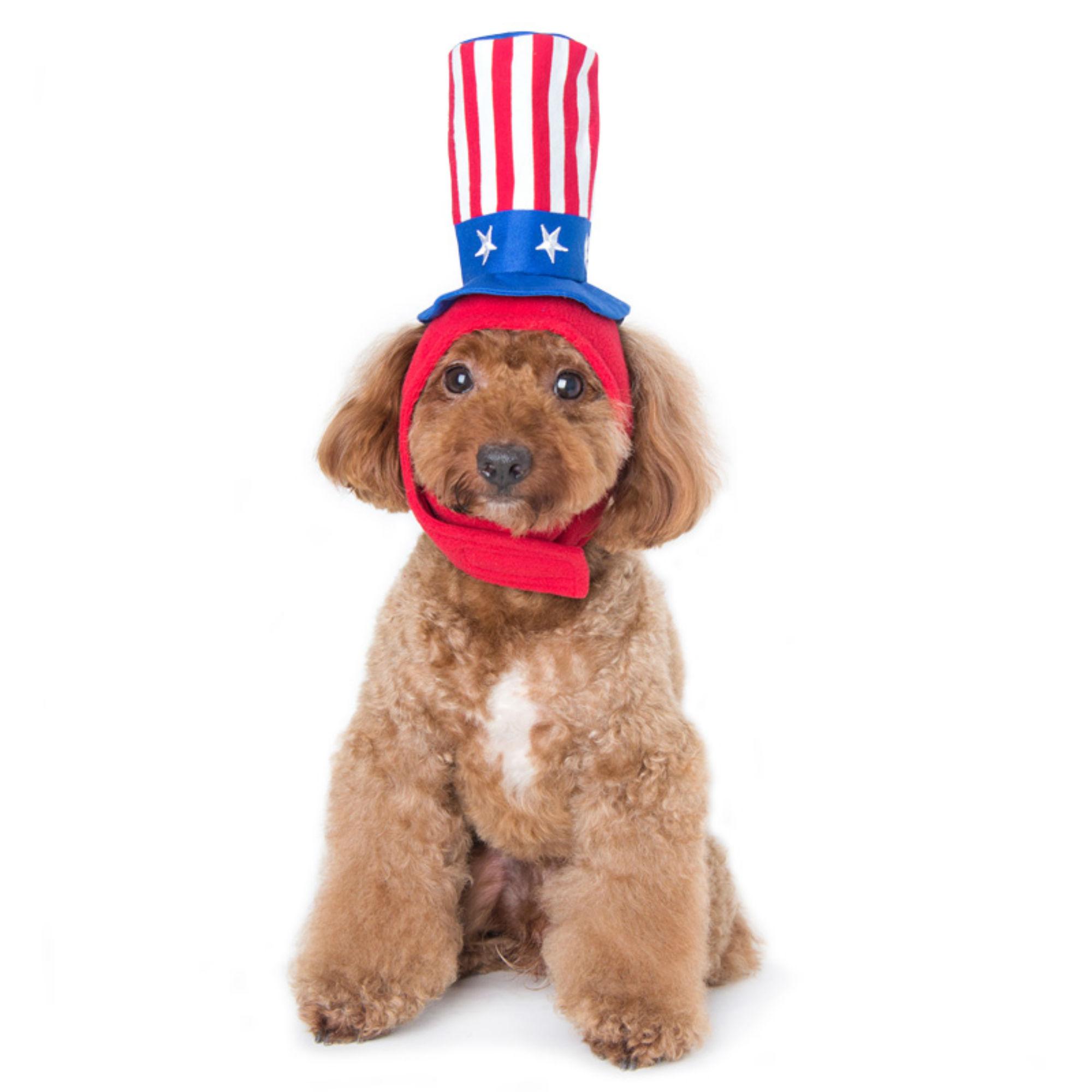 Uncle Sam Dog Hat by Dogo