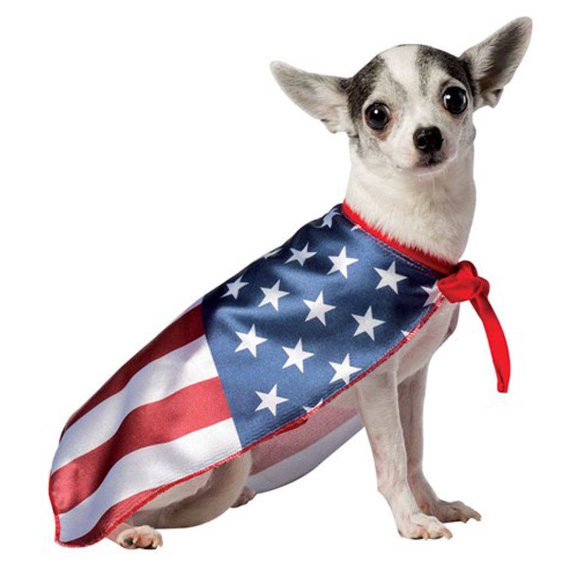 Rasta Imposta USA Flag Cape Dog Costume