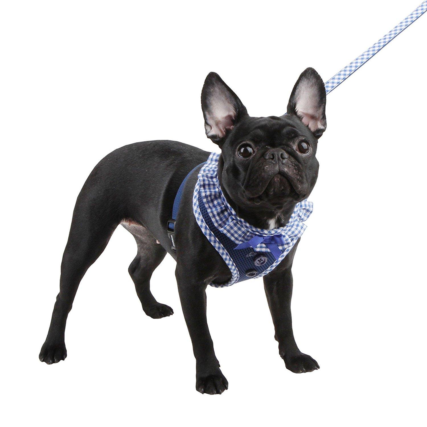 Vivien Dog Harness by Puppia - Blue