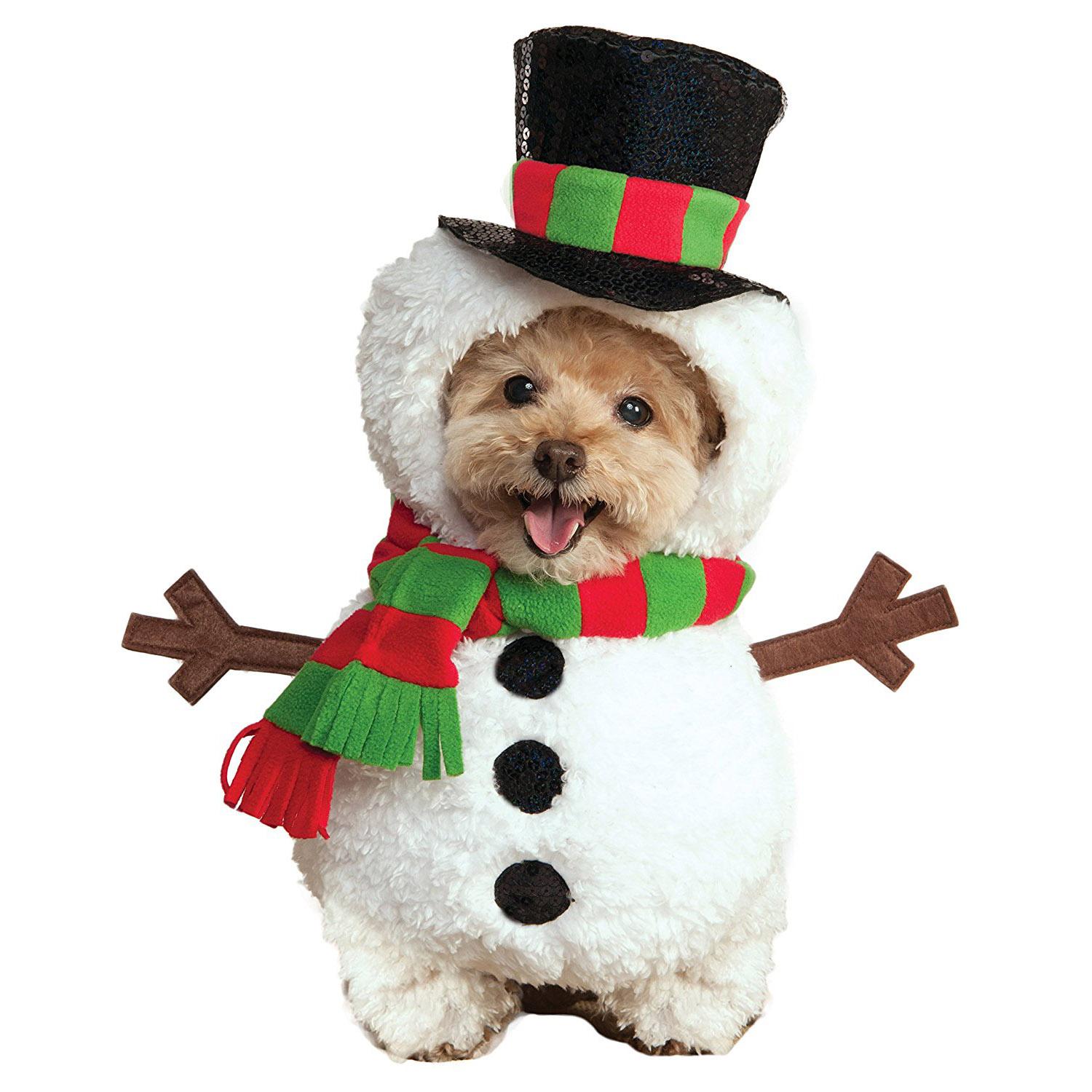 Rubies Walking Snowman Dog Costume