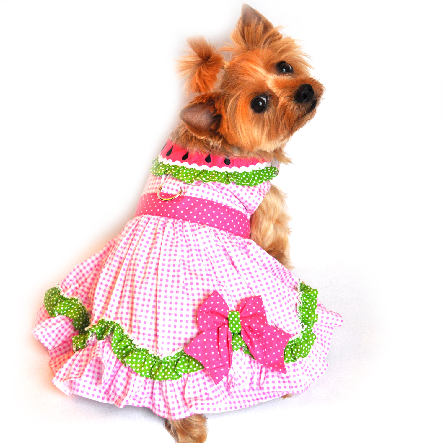 Watermelon Dog Harness Dress by Doggie Design