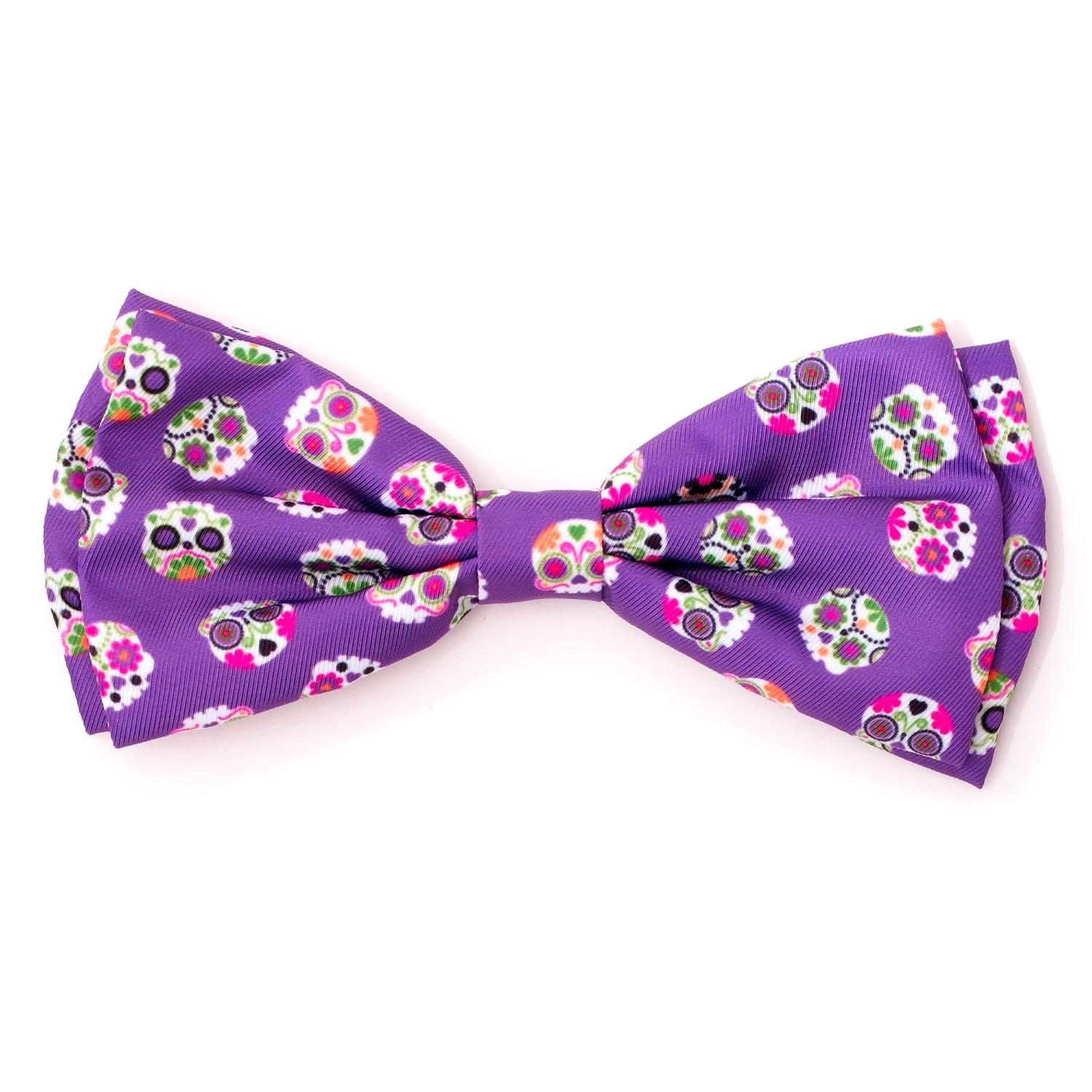 Worthy Dog Halloween Dog and Cat Bow Tie Collar Attachment - Skeletons Purple