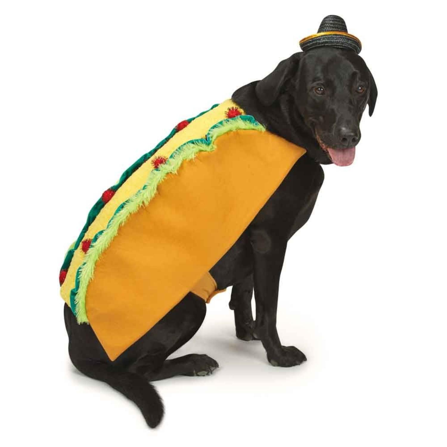 Casual Canine Tasty Taco & Sombrero Dog Costume
