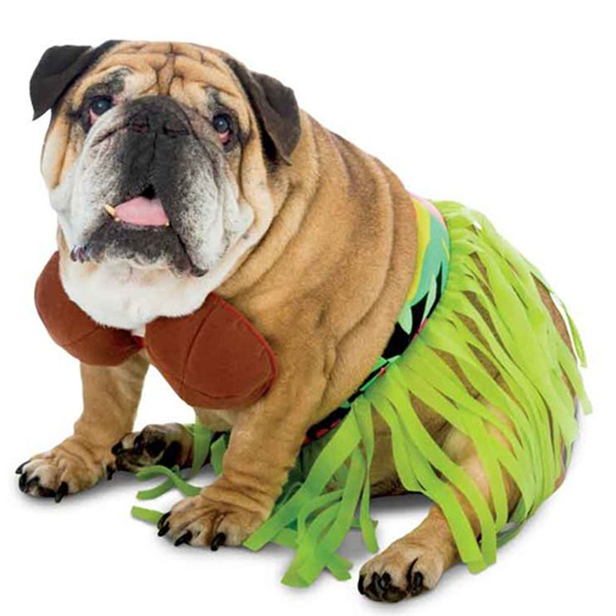 Zelda Hula Halloween Dog Costume