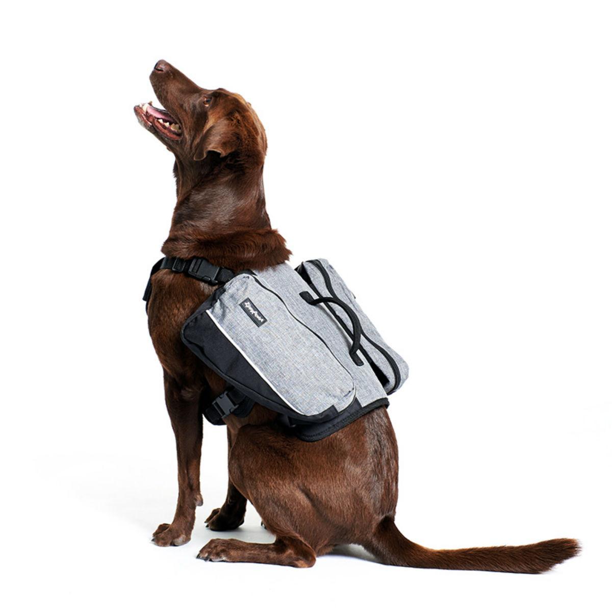 ZippyPaws Dog Backpack - Graphite