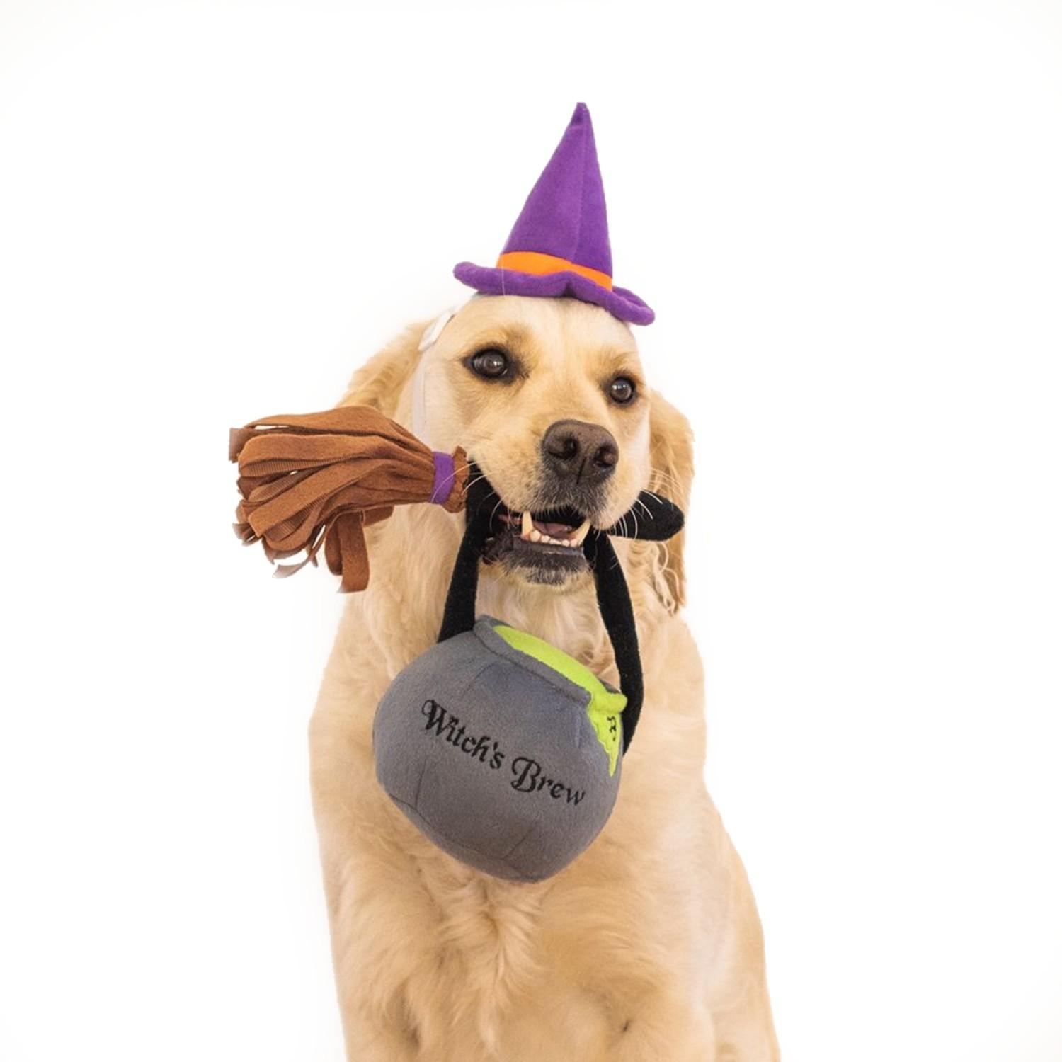 ZippyPaws Halloween Witch Dog Costume